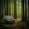 Lonely wooden bench invites contemplation in a serene setting