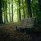 Lonely wooden bench invites contemplation in a serene setting