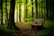 Lonely wooden bench invites contemplation in a serene setting