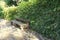 Lonely wooden bench in the park.