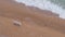 A lonely wooden white bench stands on a sandy beach.