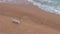 A lonely wooden white bench stands on a sandy beach.