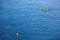 Lonely yellow boat on the Ligurian Sea, Cinque Terre