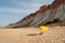 A lonely yellow parasol