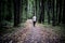 Lonely young male hipster in casual walks in autumn dark moody forest with fallen leaves