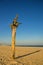 Lonesome beach of the Baltic Sea in Poland, Ustka