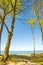 Lonesome beach with trees and blue sky