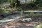 A lonesome dog is sleeping and tied to a chain next to an animal shelter in mountains. Dog is rescued from poor living conditions