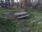 Lonesome Park Bench