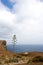 Lonesome tree, Madeira