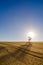 Lonesome Tree at Sunrise