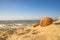 Lonesome, unaffected beach of the Baltic Sea