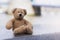 Loney teddy bear sitting by the river, The forgotten bear sitting alone, lost property, Lonely concept, Lost child, International