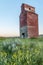 Long abandoned grain elevator