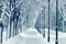 A long alley in the shape of a tunnel of snow covered trees