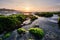 Long angle view of sunny morning over a rocky beach covered by green moss, Indonesia