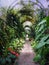 Long arched arbour in a park filled with tropical plants and flowers typical of parks in tenerife spain