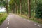 Long asphalt road with tall trees on both sides