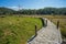 Long Bamboo Bridge in rice flied