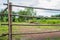 Long bamboo fence background with nature tree and sky