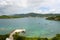 Long Bay at St. Thomas Island, US Virgin Islands, USA