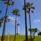 Long Beach California Shoreline Park Lighthouse