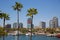 Long Beach California skyline from palm trees of port