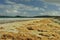 A long beach filled with dried seaweed