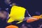 Long-beaked butterflyfish, longnose butterflyfish Forcipiger flavissimus, swimming. Bony Fish teleosts. Yellow fish