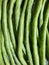 Long beans are one of the popular vegetable crops in Southeast Asian and East Asian cuisine.