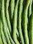 Long beans are one of the popular vegetable crops in Southeast Asian and East Asian cuisine.