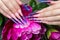 Long beautiful manicure with flowers on female fingers. Nails design. Close-up