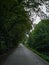 Long bike path between bushes and trees