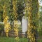 Long birch twigs, yellow birch leaves, autumn tree