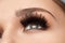 Long Black Eyelashes. Closeup Beautiful Female Eye With Makeup