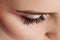 Long Black Eyelashes. Closeup Of Beautiful Woman Eyebrow And Big Eye With Fake Lashes. Beauty Cosmetics. High Resolution