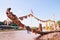 The long boats used during the Nan River races at the end of Buddhist Lent Of Wat Sri Panthon