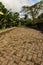 Long brick driveway in a tropical forest