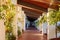 Long Brick And Timber Walkway With Grape Vines