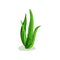 Long bright green leaves of aloe vera. Medicinal succulent plant. Flat vector element for skin care products label