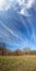 Long cirrus clouds skyscape