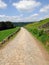 Long cobbled stone stone road running downhill in beautiful yorkshire dales countryside with green summer meadows with woodland