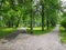 Long concrete paths in park between lamps and trees