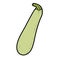 Long courgette zucchini color variation for coloring page isolated on white