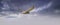 Long cover of a Kestrel bird of prey hovers against a dramatic sky with colorfull blue and purple clouds, hunting for