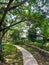 Long curve cement pathway in the green forest for walking