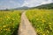 Long curve woven bamboo bridge in cosmos flower field