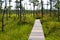 A Long, Curved Boardwalk in a Bog