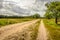 Long curved sand path through a Dutch natural area