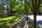 A long curving sidewalk covered with fallen autumn leaves surrounded by green grass and lush green trees